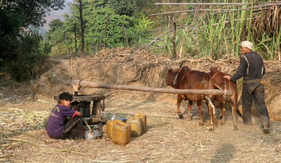 उखु पेल्दै